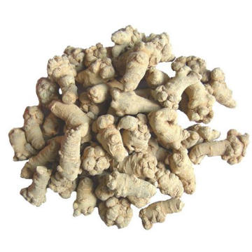 Polvo de raíz de Notoginseng